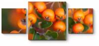 Модульная картина Спелые ягоды рябины 90x39