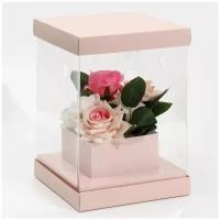 Коробка для цветов с вазой и PVC окнами, складная 'Бежевая', 16*23*16 см