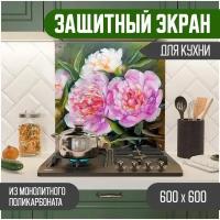 Защитный экран для кухни 600 х 600 х 3 мм 