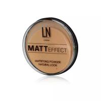 LN-professional Компактная матирующая пудра Matt Effect 103