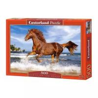 Пазл Castorland Horse on the Beach (В-51175), 500 дет