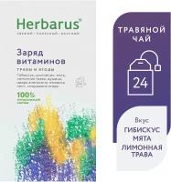 Чай в пакетиках из трав Herbarus 