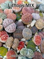 Суккулент Lithops mix (литопсы, живые камни) семена 20 штук смесь видов