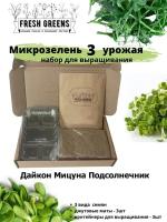 Микрозелень для выращивания Набор Fresh Greens (Дайкон Мицуна Подсолнечник)