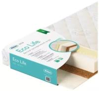 EcoLife 119х60х12