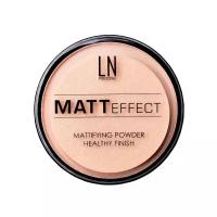 LN-professional Компактная матирующая пудра Matt Effect 104