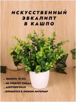 Искусственные цветы / Эвкалипт в кашпо / Новогодний декор / В подарок / Растения для дома / Украшение интерьера / Высота 18 см