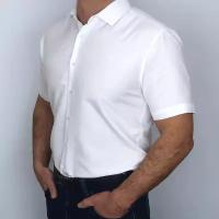 Рубашка Palmary Leading, нарядный стиль, прилегающий силуэт, классический воротник, короткий рукав, без карманов, без карманов, однотонная, размер S, белый