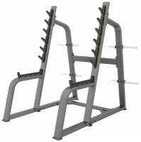 E-1050В Стойка для приседаний с ограничителями (Squat Rack), DHZ