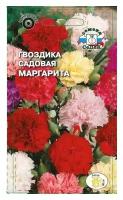 Семена Гвоздика Маргарита садовая смесь для дачи, сада, огорода, теплицы / рассады в домашних условиях