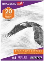 Комплект 2 шт. Папка для рисования А4, 20 л, 160 г/м2, STAFF, 210х297 мм, Орел, 125230