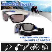 Очки защитные открытые ARCTIC north (5-3.1PC) артикул 18629, затемнённые