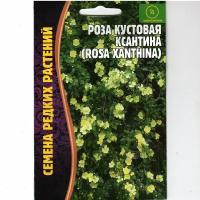 Роза кустовая Ксантина, эффектный многолетник ( 1 уп: 10 семян )