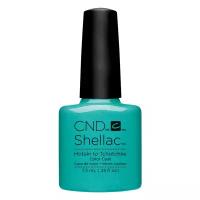 CND Гель-лак Shellac, 7.3 мл, Hotski to Tchotchke