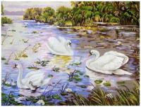 Канва жесткая с рисунком - Лебеди, 50 x 60 см, 1 шт