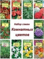 Семена, набор семян комнатные цветы Куфея, Бегония, Фикус, Пеларгония, Лавр, Жаккарда, Циперус и др 10 пакетов