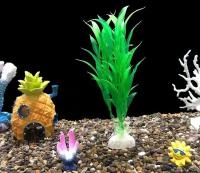 Растения для аквариумов и террариумов 30 см