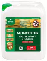 Антисептик универсальный против грибка и плесени, Prosept Антиплесень, готовый раствор, 5 л