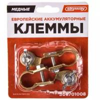 Клемма аккумулятора SKYWAY S06701008 для Nissan Z