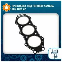 Прокладка под головку Yamaha 6G5-11181-A2