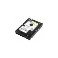 Жесткий диск Western Digital WD Blue 80 ГБ WD Blue 80 GB (WD800AAJB)