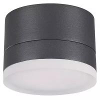 358084 STREET NT19 164 темно-серый Ландшафтный светильник IP54 LED 3000К 12W 220V KAIMAS