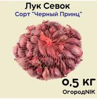 Лук Севок сорт 