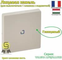 Накладка Legrand 755101 Valena Life