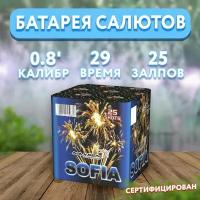 Салют фейерверк 