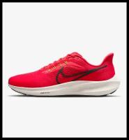 Nike Air Zoom Pegasus 39