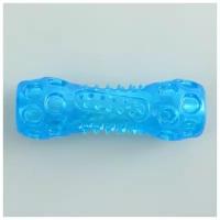 Игрушка-палка из термопластичной резины с утопленной пищалкой, синяя