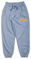 Спортивные штаны Manto Varsity Grey (XL)