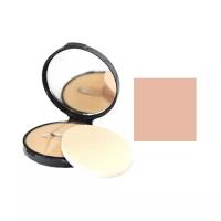 Sitisilk пудра компактная Compact Powder 01