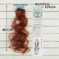 Волосы - тресс для кукол «Кудри» длина волос: 40 см, ширина:50 см, №13