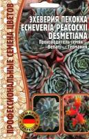 Эхеверия пекокка Echeveria peacockii desmetiana, многолетник ( 1уп: 5 семян )