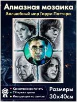 Алмазная мозаика Fantasy Earth с героями фильмов о Гарри Поттере