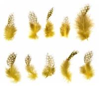Набор перьев для декора 10 шт, размер 1 шт: 5 × 2 см, цвет жёлтый с коричневым