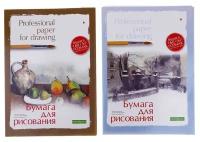 Папка для рисования А3, 20 листов Профессиональная серия, блок 150 г/м2, гознак, в ассортименте, 1 шт