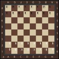Виниловая обучающая доска для шахмат 2,4х2,4 м