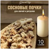 Сушеные почки Сосны / Сосновые почки для свечей и ритуалов, 10 гр