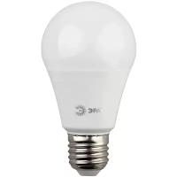 Светодиодная LED лампа ЭРА eco ЛОН A60 E27 10W(800lm) 4000K 4K 110x60 A60-10w-840-E27 6697 lБ0028005