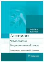 Анатомия человека. Опорно-двигательный аппарат