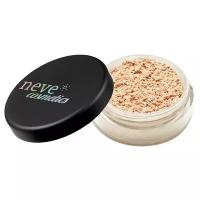 Neve Cosmetics Пудра рассыпчатая Perfect Silky Mineral Powder