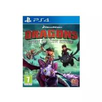 Игра Dragons: Dawn of New Riders для PlayStation 4