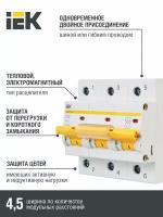 Автоматический выключатель IEK ВА 47-100 (C) 10kA 50 А