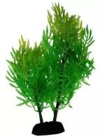 Растение для аквариума Homefish GREEN, размер 19см