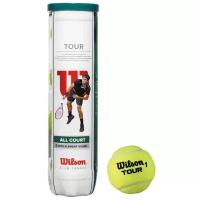 Мяч Wilson All Court WRT115700