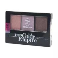 TF Cosmetics Палетка теней Trio Color Empire 311 песчаная дюна