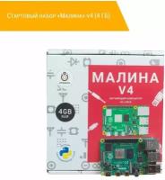 Стартовый набор Малина v4 (4 ГБ)