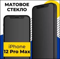 Матовое защитное стекло на телефон Apple iPhone 12 Pro Max / Полноэкранное стекло для Эпл Айфон 12 Про Макс (Черный)